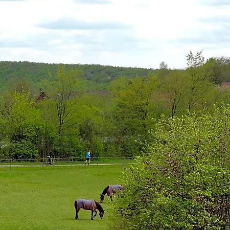Hotel Zum Doerenberg 3*