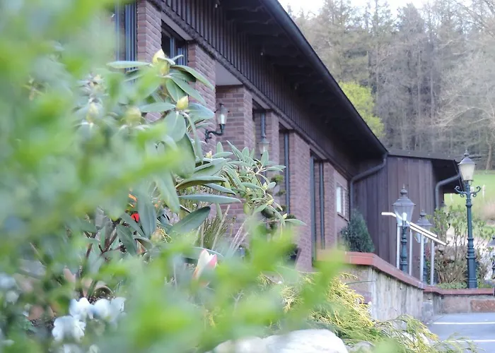 Hotel Zum Doerenberg 3*